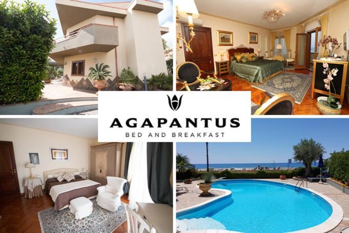 לינה וארוחת בוקר דיאמנטה Agapantus Bed & Breakfast מראה חיצוני תמונה